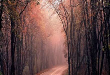 乐鱼体育app-战术纪律与团队意志的胜利，波兰如何以整体足球轻取法国，成为美加墨世界杯焦点战的最大启示