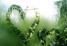 乐鱼 vip 注册-福克斯展现巨星价值，浙江队爆冷活塞，一场跨越文化的篮球对话