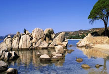 乐鱼 vip 注册-CLG横扫Vitality，Upset惊艳世界：英雄时刻背后的荣耀与激情